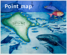 Point map