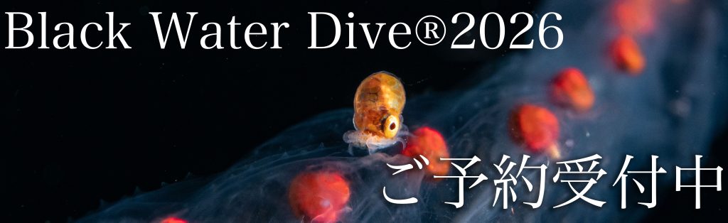 画像に alt 属性が指定されていません。ファイル名: BWD2026-1024x314.jpg