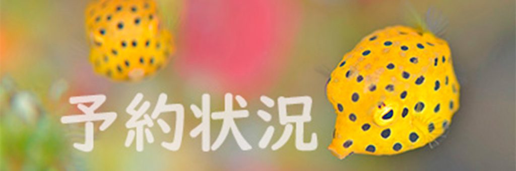 画像に alt 属性が指定されていません。ファイル名: 60aa4b4993a7b2627dcc6d7260f15dd7-1024x341.jpg